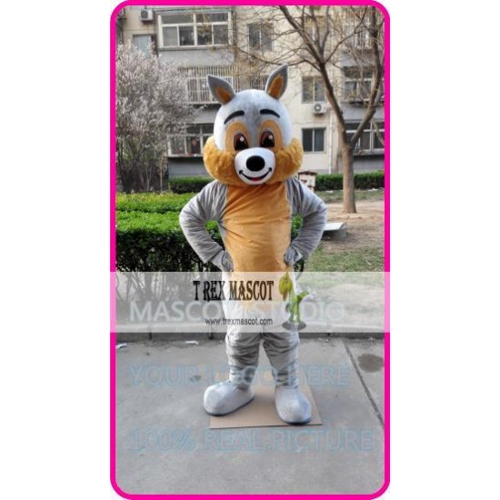 Mascot Grey Squirrel Mascot Costume Cartoon 