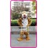 Plush Tiger Mascot Costume