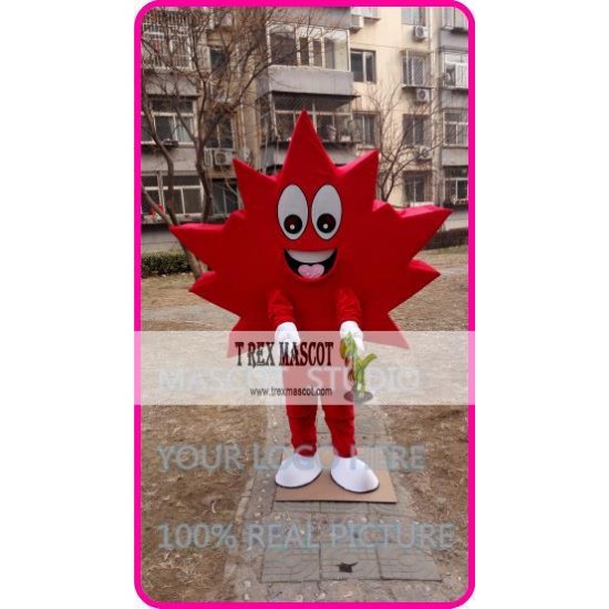 Mascot Maple Leaf Mascot Costume