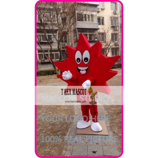 Mascot Maple Leaf Mascot Costume