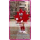 Mascot Maple Leaf Mascot Costume