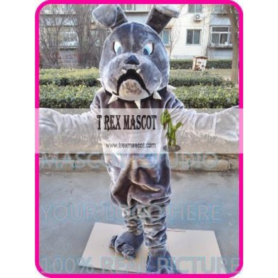 Mascot Bulldog Bull Dog Mascot Costume