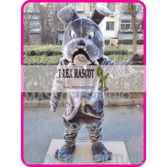 Mascot Bulldog Bull Dog Mascot Costume