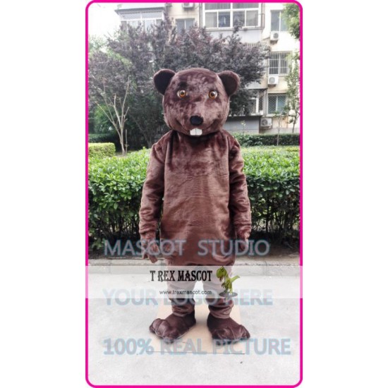 Mascot Beaver Sinocastor Castor Mascot Costume