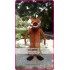 Mascot Pumbaa Mascot Costume