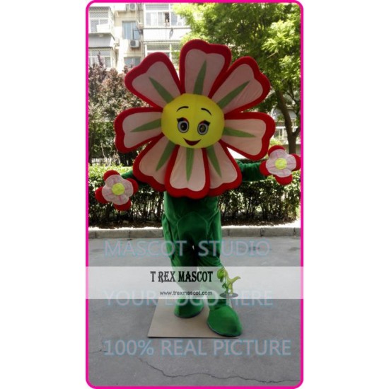 Mascot Red Flower Sunflower Mascot Costume