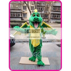 Mascot Dragon Dinosaur Dino Mascot Costume