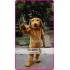 Mascot Plush Labrador Dog Mascot Costume Cartoon