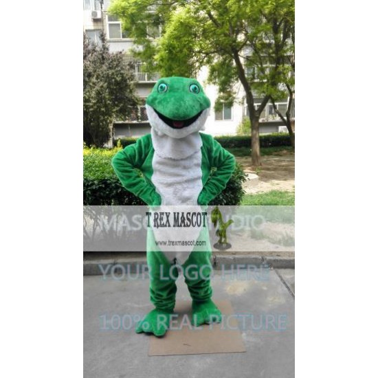 Mascot Green Snake Mascot Costume