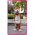 Mascot Bear Mascot Costume