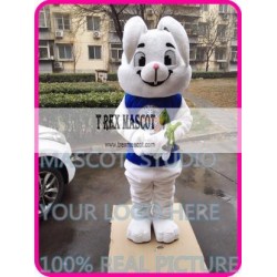 Mascot Easter Bugs Mascot Bunny Rabbit Costume