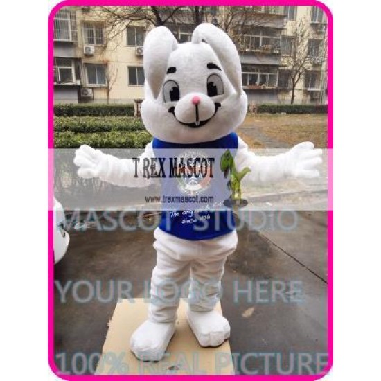 Mascot Easter Bugs Mascot Bunny Rabbit Costume