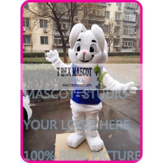 Mascot Easter Bugs Mascot Bunny Rabbit Costume