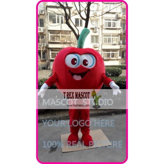 Mascot Red Apple Mascot Costume