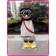 Cartoon Owl Mascot Costume