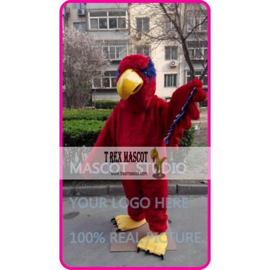 Mascot Red Hawk Eagle Mascot Costume Cartoon 