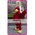 Mascot Red Hawk Eagle Mascot Costume Cartoon 