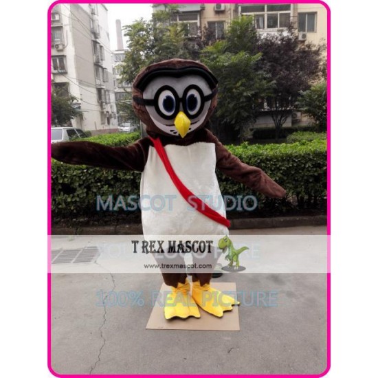 Cartoon Owl Mascot Costume