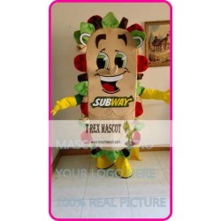 Mascot Subway Sandwich Subman Mascot Costume