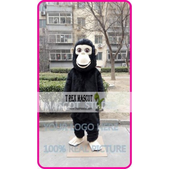 Mascot Monkey Gorilla Ape Mascot Costume