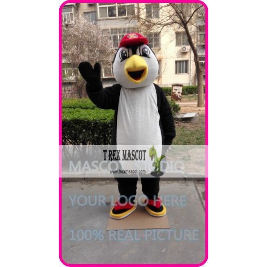 Mascot Penguin Mascot Costume Cartoon 