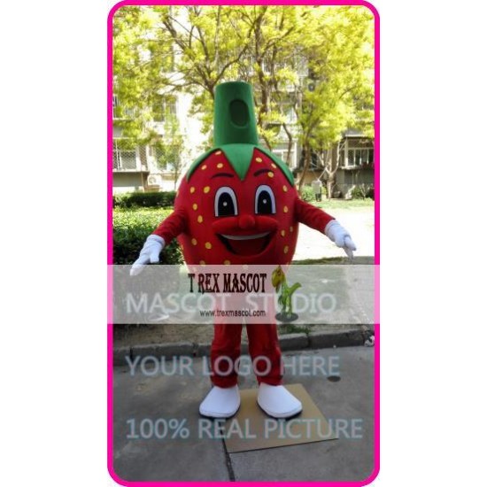 Mascot Strawberry Mascot Costume