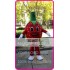 Mascot Strawberry Mascot Costume