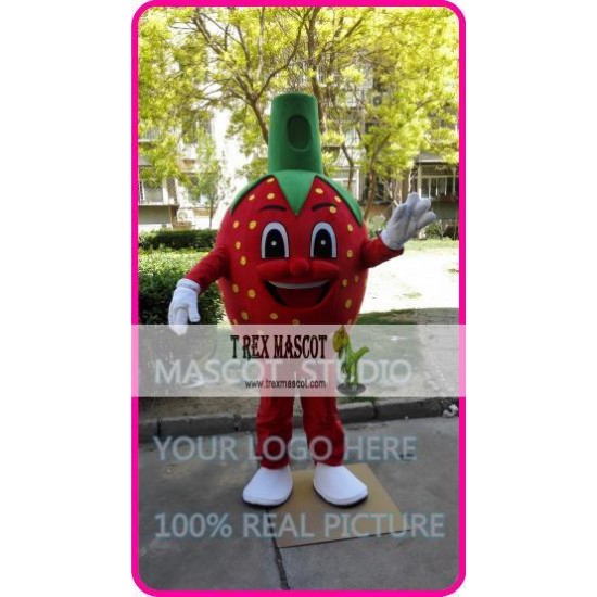 Mascot Strawberry Mascot Costume