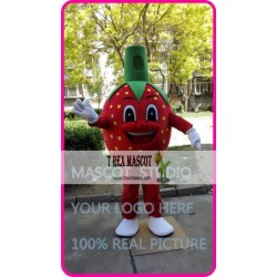 Mascot Strawberry Mascot Costume