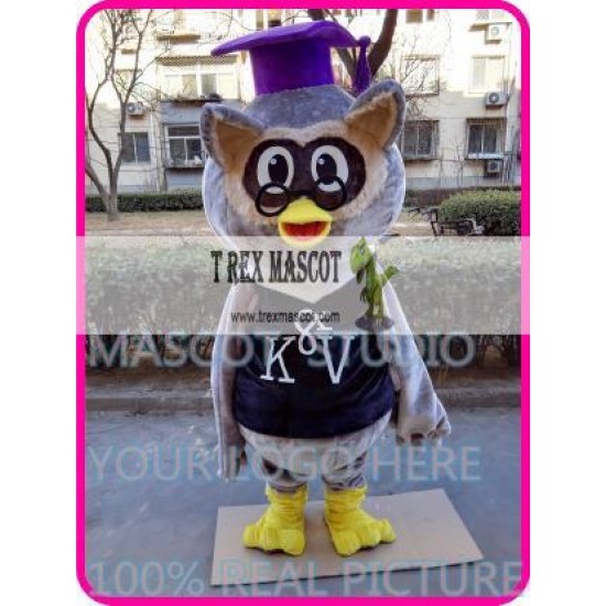 Mascot Plush Doctor Owl Mascot Costume