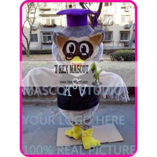 Mascot Plush Doctor Owl Mascot Costume