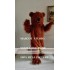 Brown Grizzly Bear Mascot Long Plush Costume Bear Cartoon