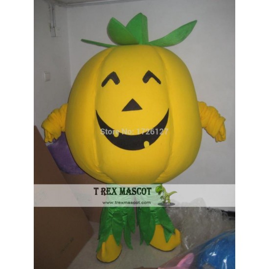 Mascot Pumpkin Mascot Halloween Costume