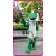 Mascot Plush Green Frog Mascot Costume