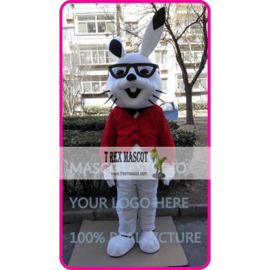 Easter Rabbit Bunny Mascot Costume