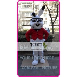 Easter Rabbit Bunny Mascot Costume