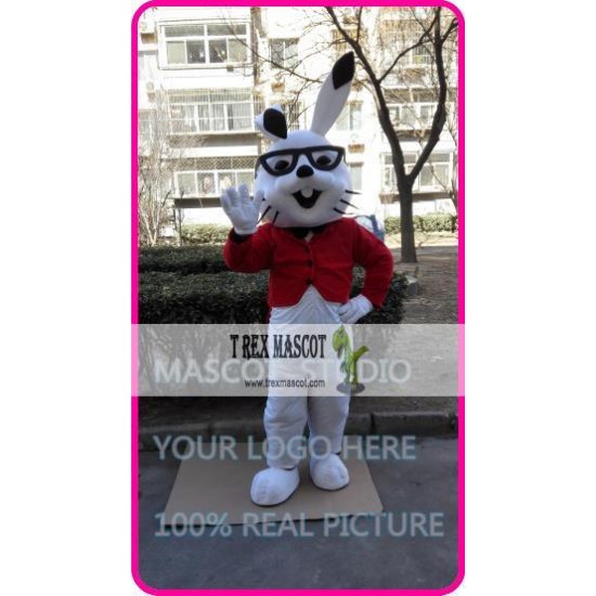 Easter Rabbit Bunny Mascot Costume