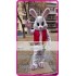 Mascot Easter Rabbit Bunny Mascot Costume