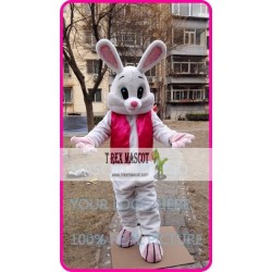 Mascot Easter Rabbit Bunny Mascot Costume