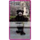 Mascot Bear Mascot Costume Cartoon 