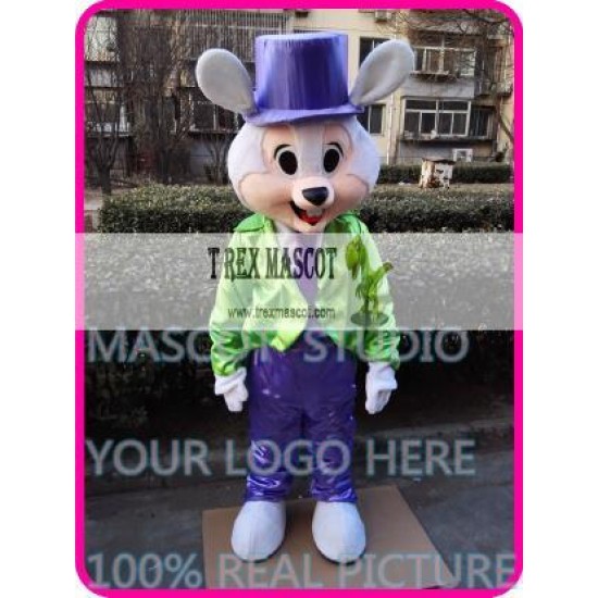 Mascot Mr Easter Bunny Rabbit Mascot Costume Cartoon Cosplay