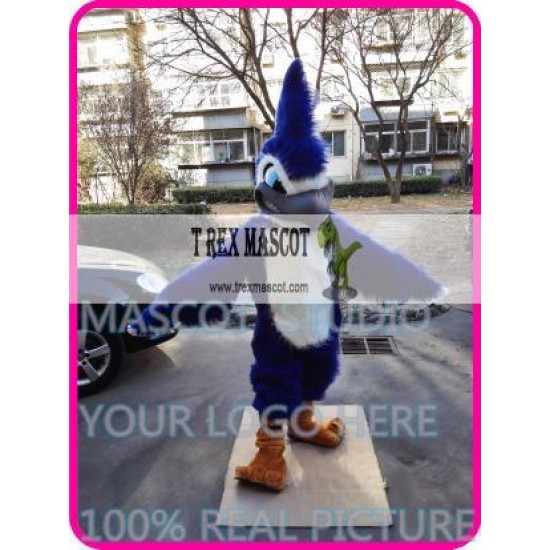 Mascot Blue Jay Eagle Mascot Costume