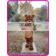 Mascot Plush Brown Bear Mascot Costume