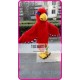 Mascot Plush Red Hawk Eagle Falcon Mascot Costume