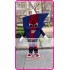 Mascot Flash Mascot Costume Cartoon 