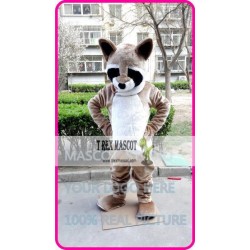 Mascot Raccoon Mascot Costume Cartoon 