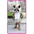 Mascot Raccoon Mascot Costume Cartoon 