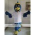 Mascot Blue Eagle Hawk Falcon Mascot Costume