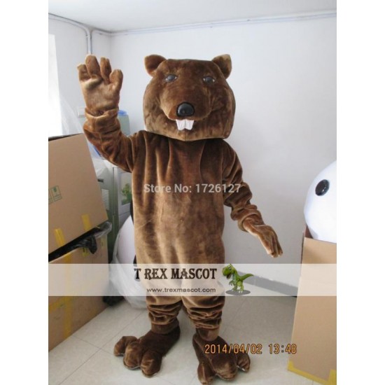 Mascot Beaver Sinocastor Mascot Costume