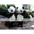 Panda Animal Mascot Costume